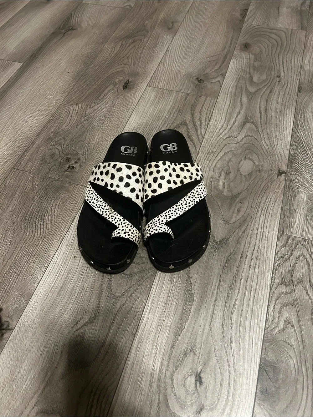 Gianni Bini bold dalmatian